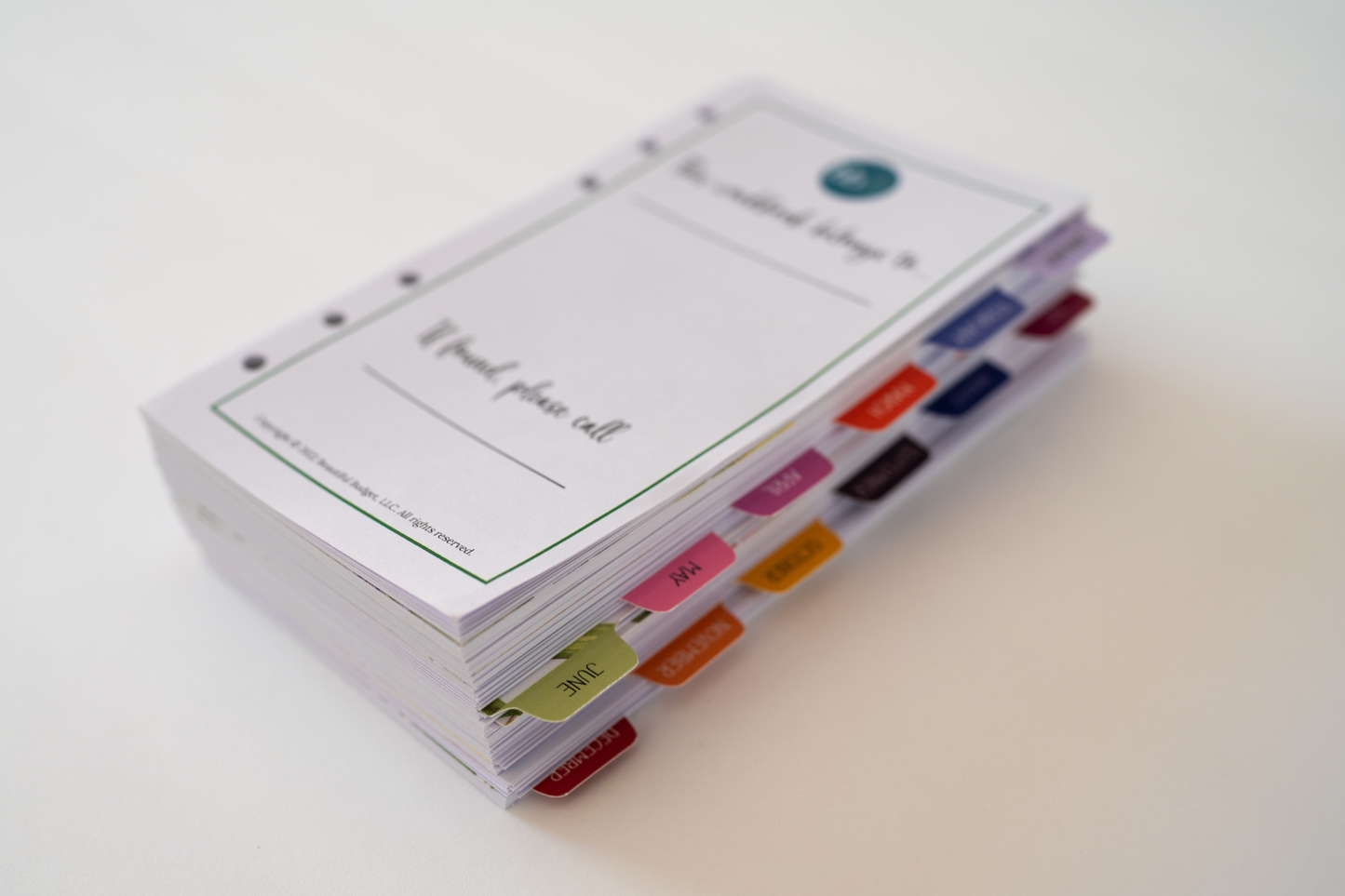 Beautiful Budget Workbook - Watercolor Floral Mini