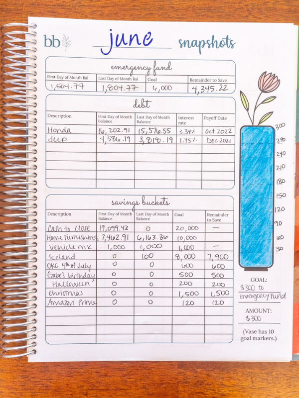 Beautiful Budget Workbook™ (Teal Design)