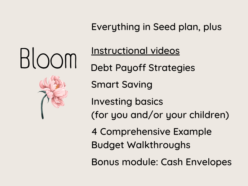 Beautiful Budget Workbook - Watercolor Floral - LUXE Edition